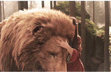 Top 10 Signs You Should Live in Narnia